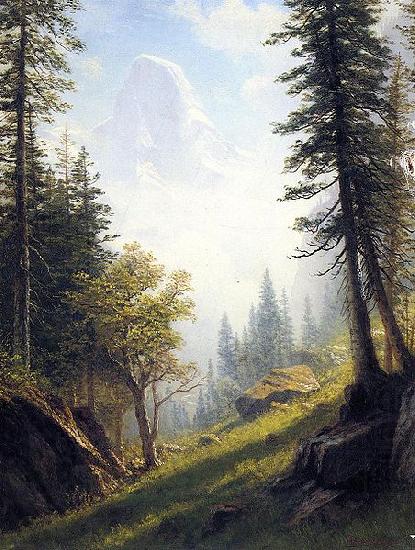 Albert Bierstadt Among the Bernese Alps china oil painting image